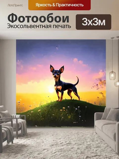 Фотообои собака, той терьер, грациозно стоит на вершине маленького холма, наслаждаясь видом на закат
