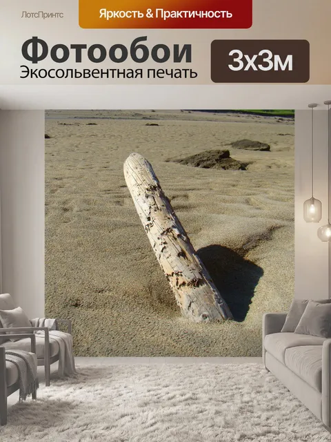 Фотообои топляк на пляже