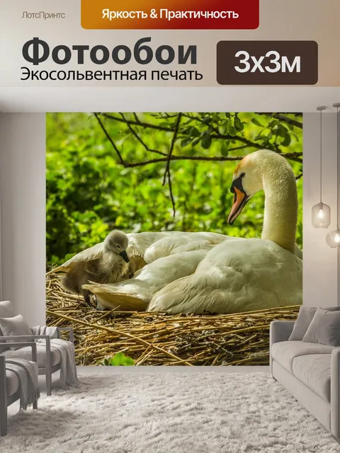 Фотообои Лебеди