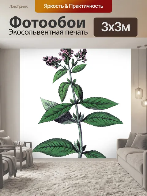 Фотообои Цветы клипарт графический рисунок