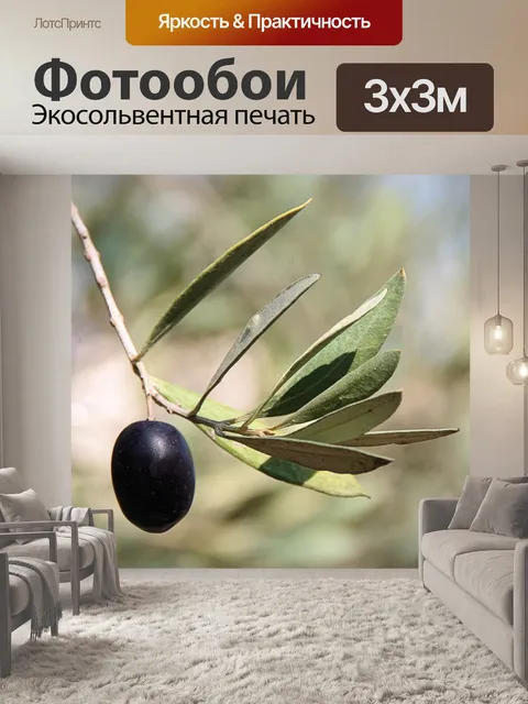 Фотообои Одноместный черный оливковый