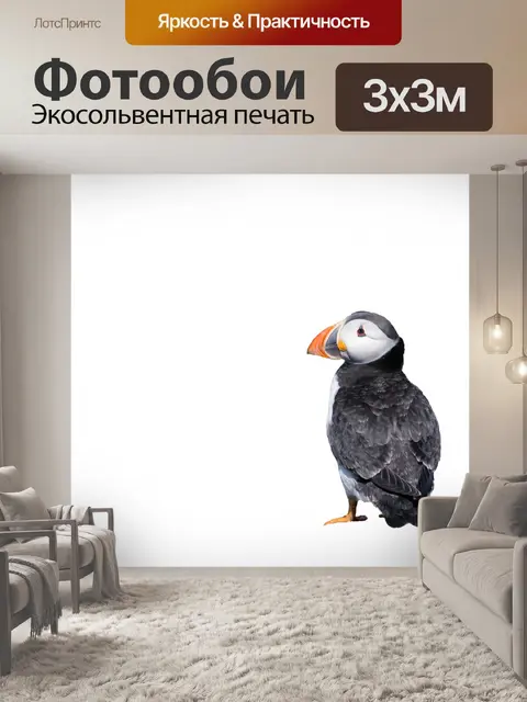 Фотообои Пуффин на белом фоне