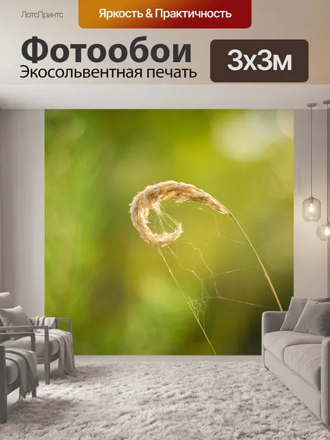 Фотообои Трава