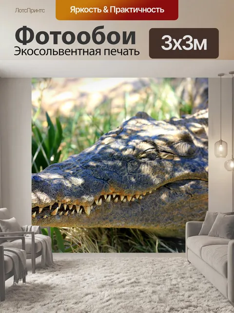 Фотообои Крокодил