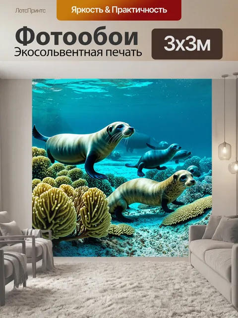 Фотообои подводный мир с стаей тюленей, плавающих среди кораллов и морских растений