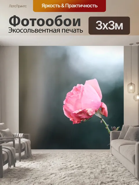 Фотообои Роза в саду
