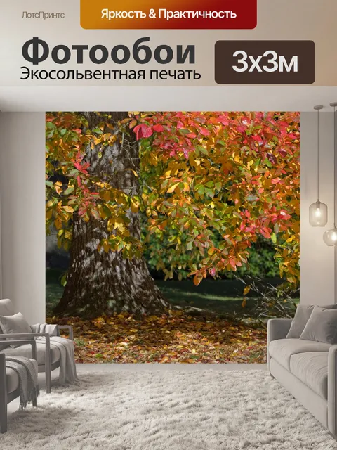 Фотообои Осенние цветы
