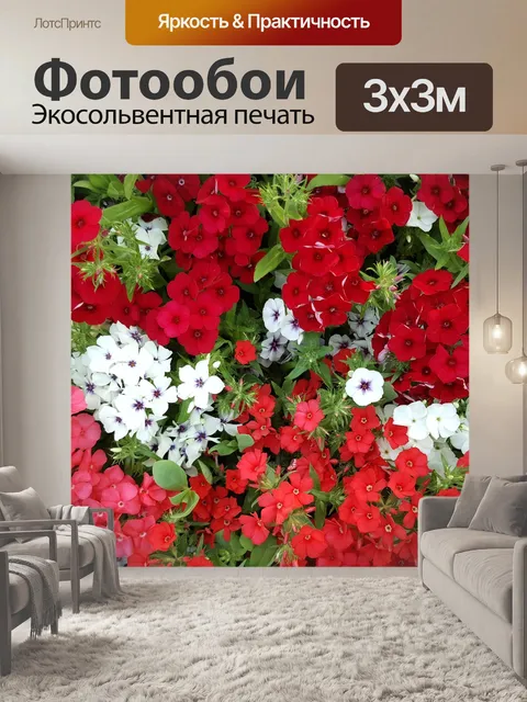 Фотообои Мини-вечный