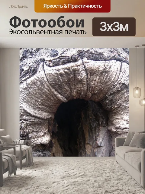 Фотообои гротескное поражение ствола дерева
