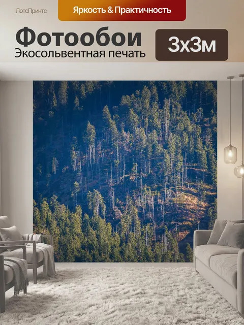 Фотообои Вырубка леса