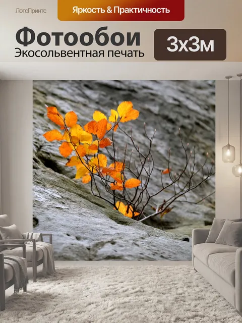 Фотообои Падение