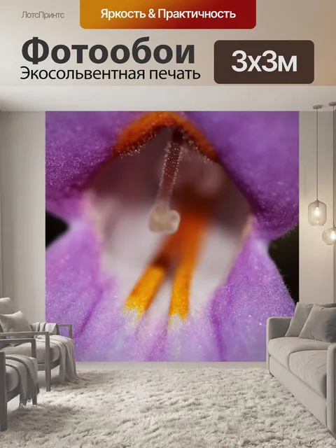 Фотообои орхидея