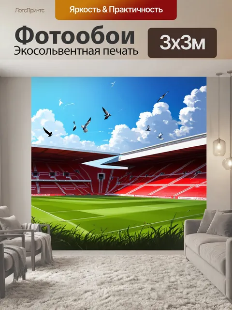Фотообои летний день на энфилде с пустым стадионом