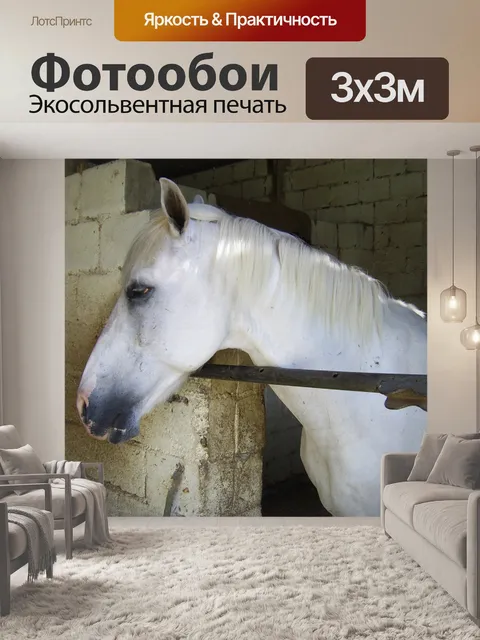 Фотообои Белый конь