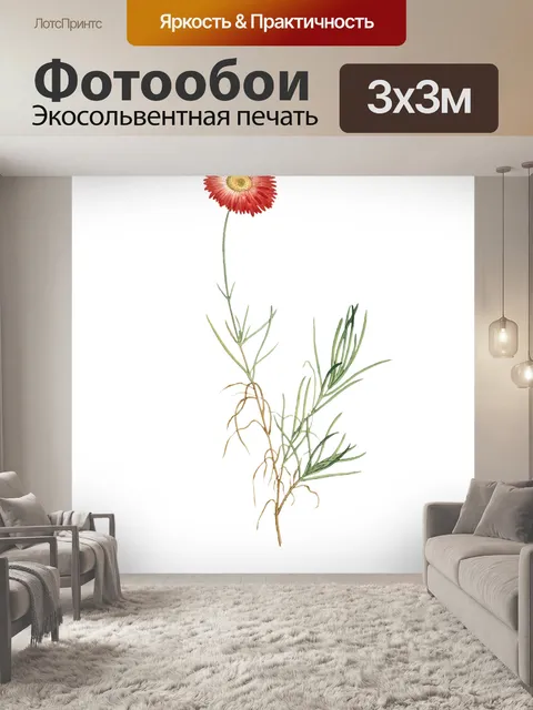 Фотообои Винтажная цветочная иллюстрация
