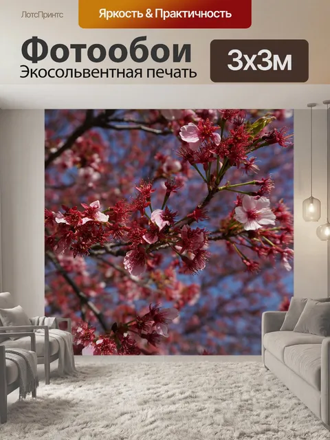 Фотообои Вишня в цвету