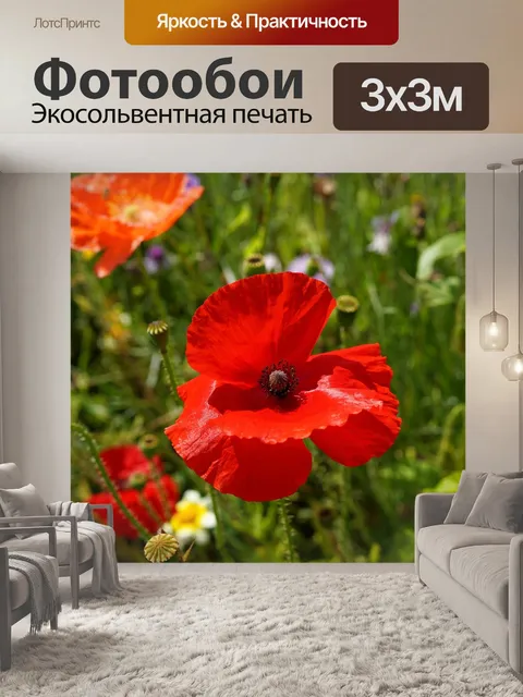 Фотообои Мак