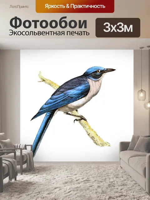 Фотообои Птица