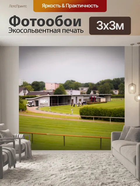 Фотообои Гольфисты