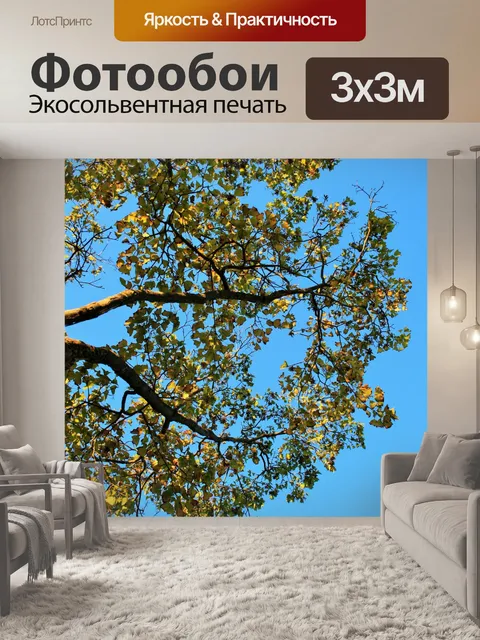 Фотообои изменения листья