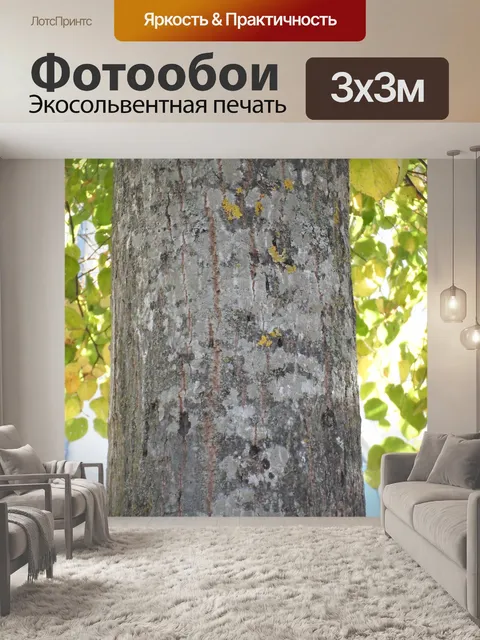Фотообои Зеленая листва ствол 01