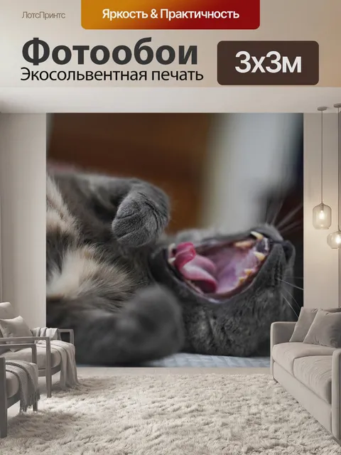 Фотообои Кошка