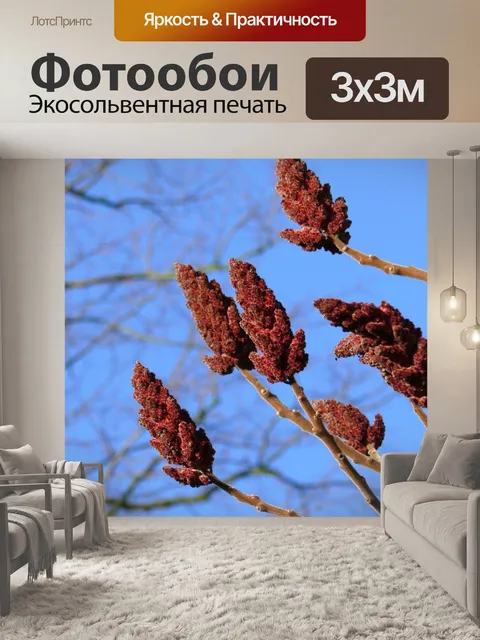 Фотообои Бордо