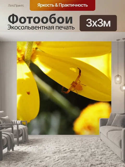 Фотообои желтый краб цветок паук на лепестке