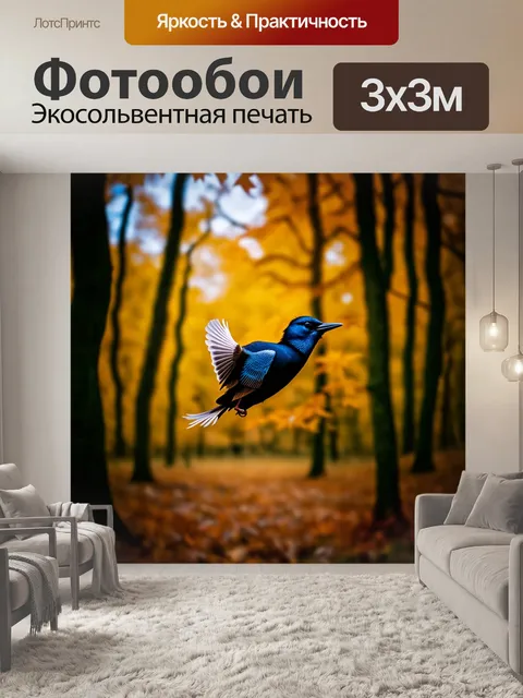 Фотообои сцена с птичьими перьями
