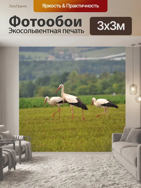 Фотообои Аисты