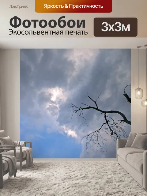 Фотообои Облачное небо с мертвым деревом