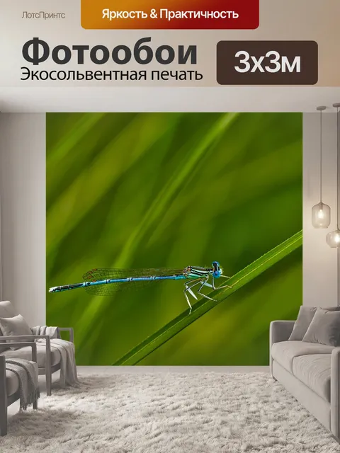 Фотообои Белый legged равнокрылые стрекозы змеешейка