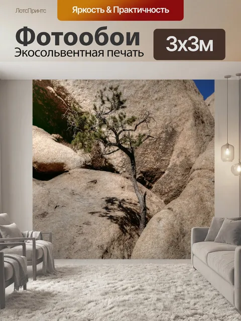 Фотообои дерево, растущее между скалами