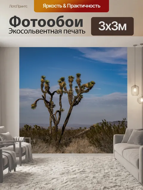 Фотообои Дерево Джошуа в пустыне
