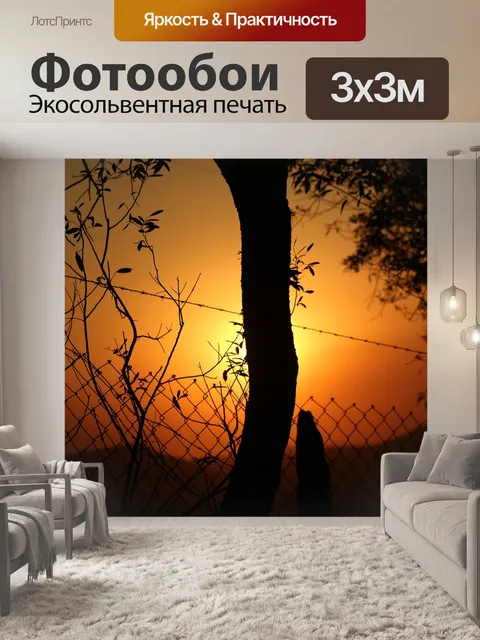 Фотообои Дерево