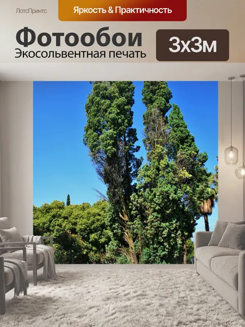 Фотообои газон и деревья, парк в Претории