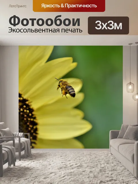 Фотообои Пчела