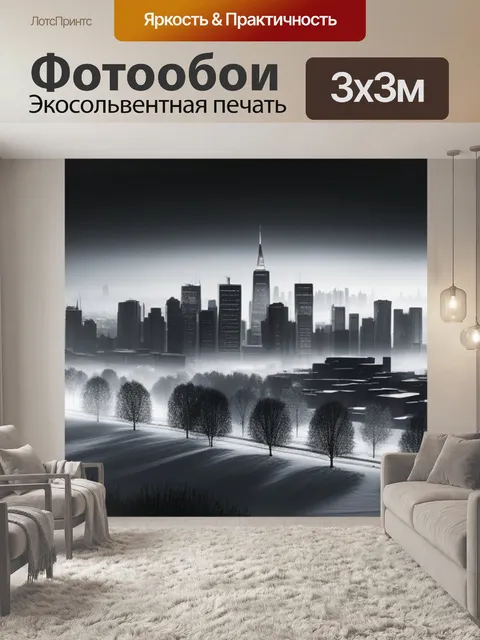 Фотообои зимний пейзаж с городами чернобелый
