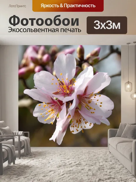 Фотообои Цветы миндаля