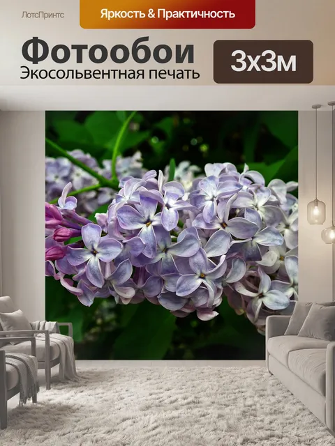 Фотообои Цветок