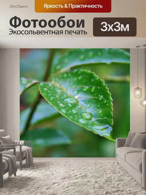 Фотообои Мокрый гранадилла лианы