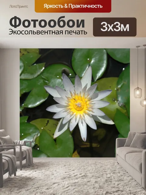 Фотообои Водяная лилия