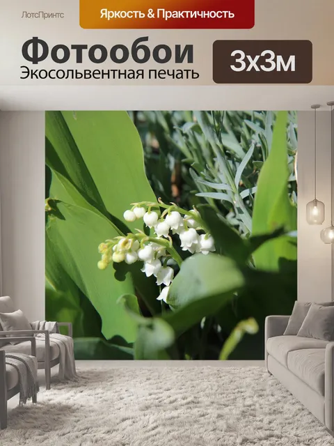 Фотообои Ландыш