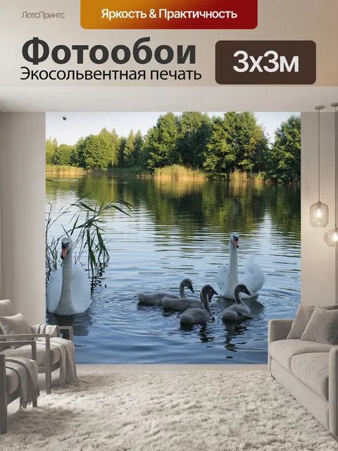 Фотообои Лебеди