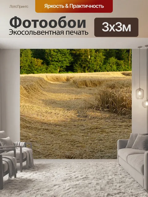 Фотообои Ущерба от бури