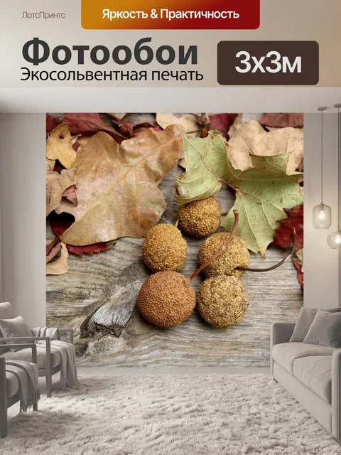 Фотообои Sycamore Семенные шары и листья