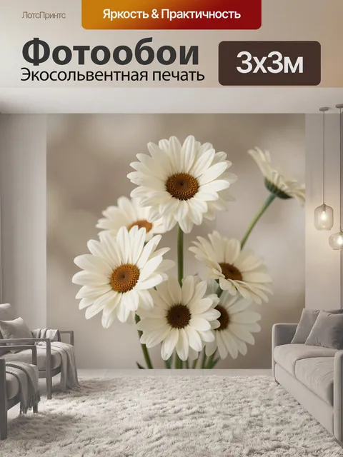 Фотообои Белые ромашки крупным планом