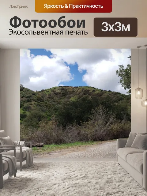 Фотообои Баннер проселочной дороги