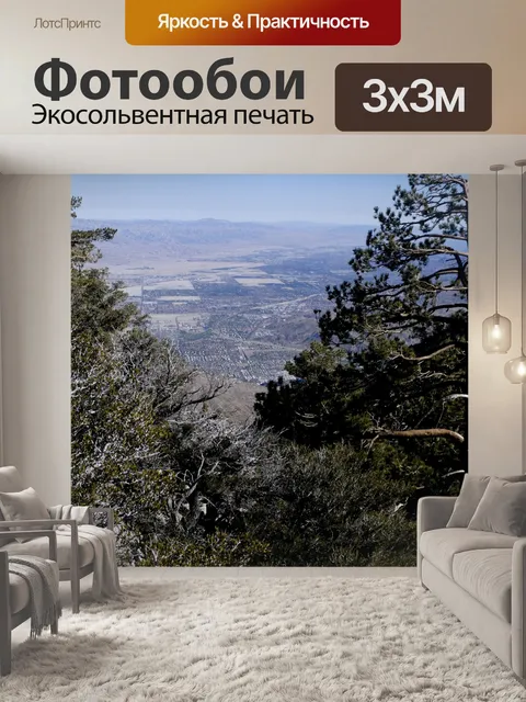 Фотообои Лес и пустыня