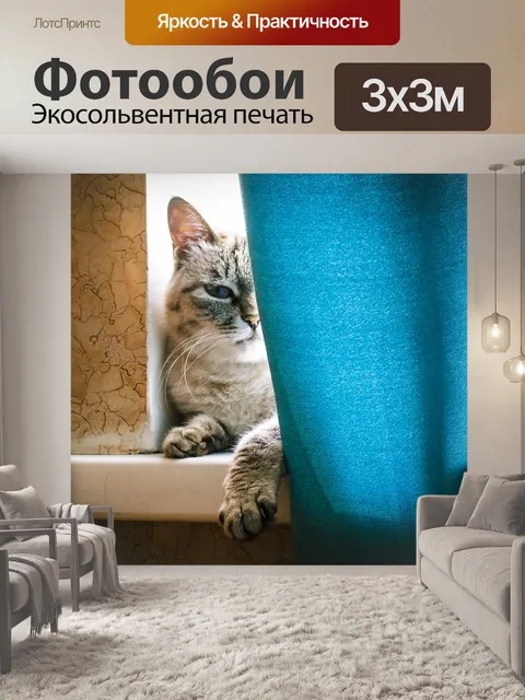 Фотообои Кот